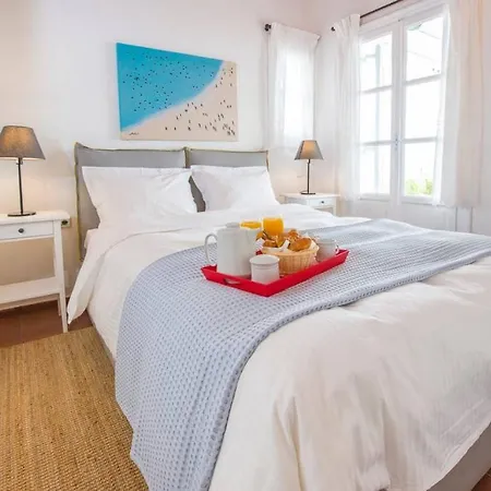 Mykonos Psarrou Villas For 18 People Βίλα